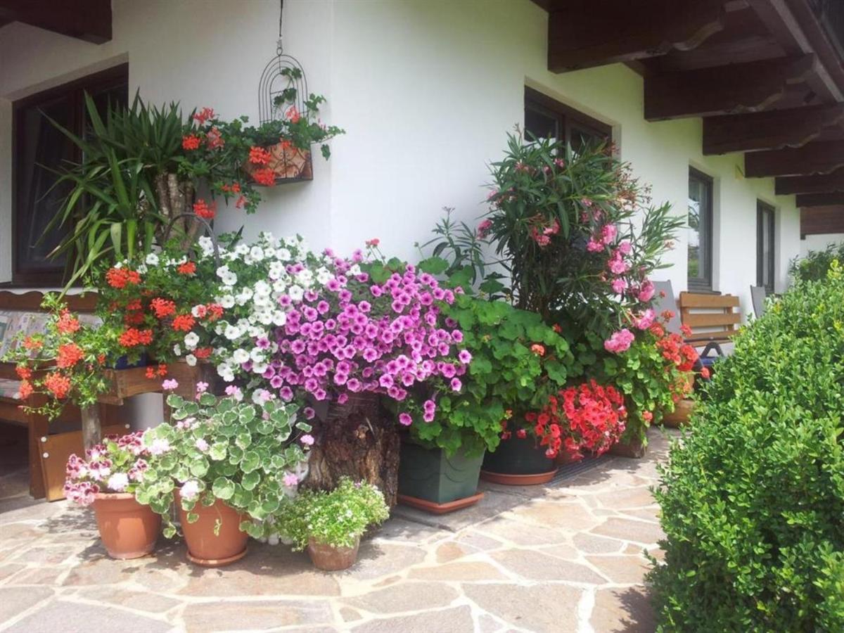 Haus Johanna وستندورف المظهر الخارجي الصورة